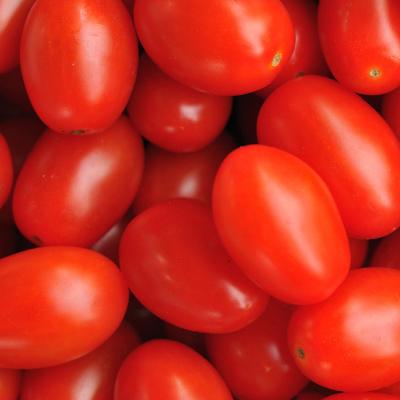 Tomate grape (1kg)