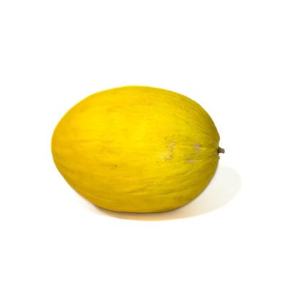 Melao Amarelo