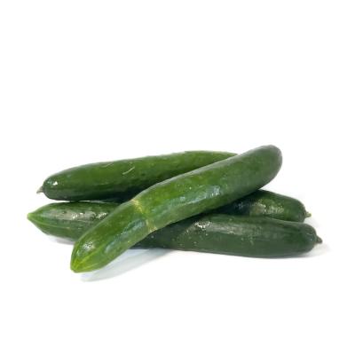 Pepino Japones