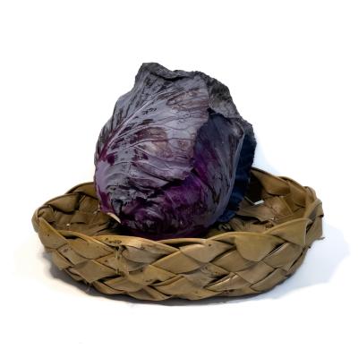 Repolho Roxo
