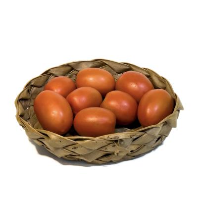 Tomate Italiano